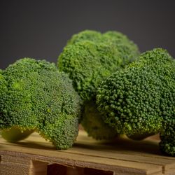 Brocolli