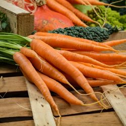 Carrots