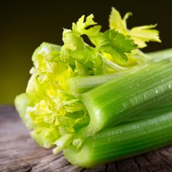 Celery
