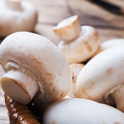 Mushrooms