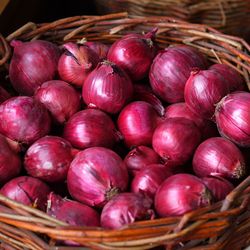 Red onion