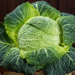 Savoy Cabbage