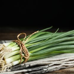 Spring Onion
