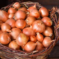 White Onion