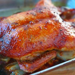 Fresh Duck